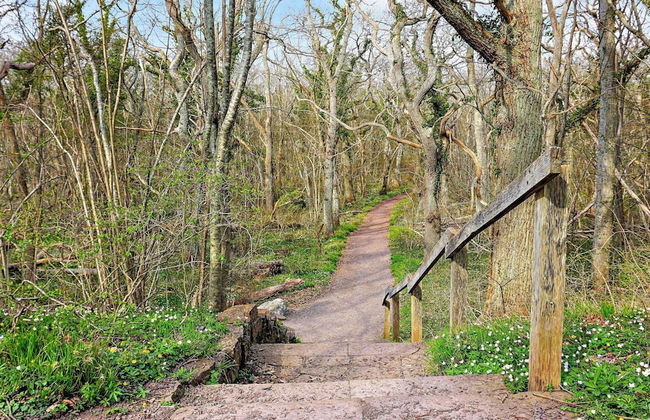 4 Person Holiday Home in Lottorp - Foto 16