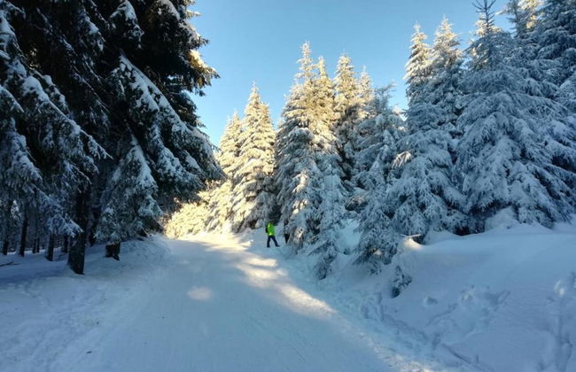 Einladende Ferienwohnung mit Garten - Foto 25
