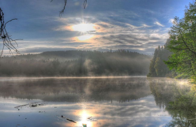 Holiday Home Scharzwald - Foto 18