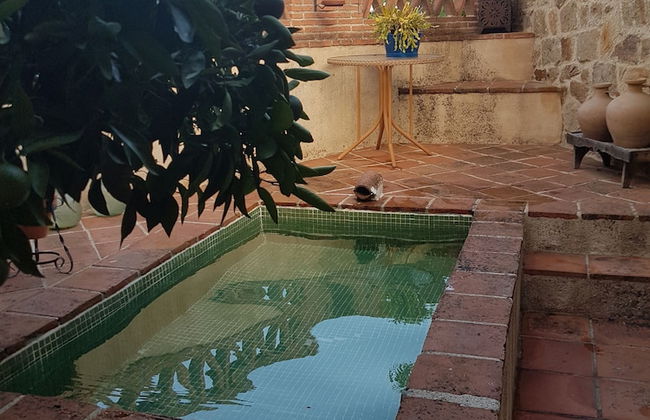 El Atalanto - Foto 8