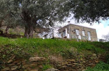 Andros Trecking Paradise Holiday Cottage by "elite" - Foto 16