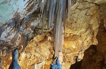 Old town hesed - Photo 52