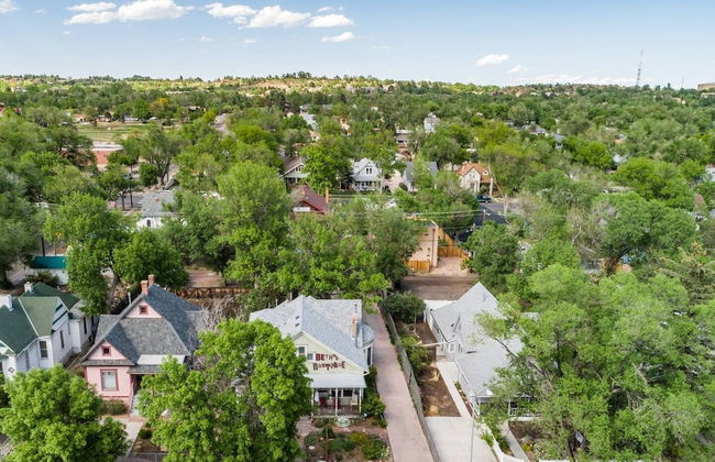 Whimsical Flat Color Unique & Chic Boutique - Foto 24