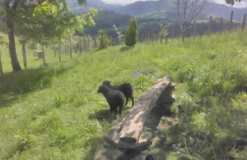 Agroturismo Pagoederraga - Foto 72