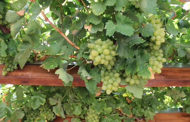 Roes apartments - Foto 29