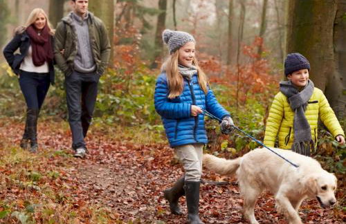Gorgeous Kippford Home With Outstanding Views - Pass the Keys - Photo 27