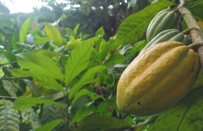 Las Cabanas - Foto 72