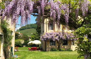 Fiori&vigne di Cecilia Marcon - Foto 37