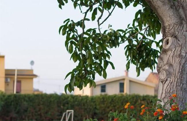 Agriturismo Il Gelsomino Ritrovato - Foto 38