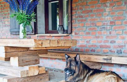 Chata nad Dziką Orlicą z jacuzzi - Foto 51