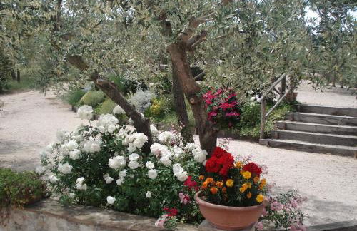 Tenuta Colverano - Foto 41