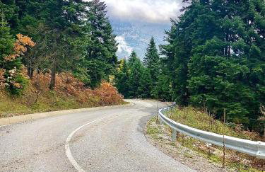 Παραδοσιακή πέτρινη κατοικία στην Βλάχα Ελάτης - Foto 52