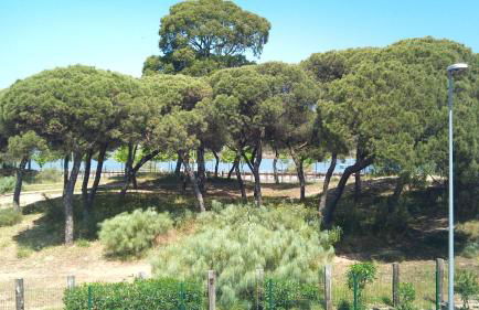 FUNDADORES, Isla Cristina - Foto 8