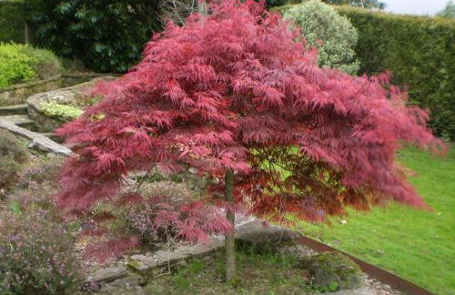 Casa Rural La Socarrena - Foto 16