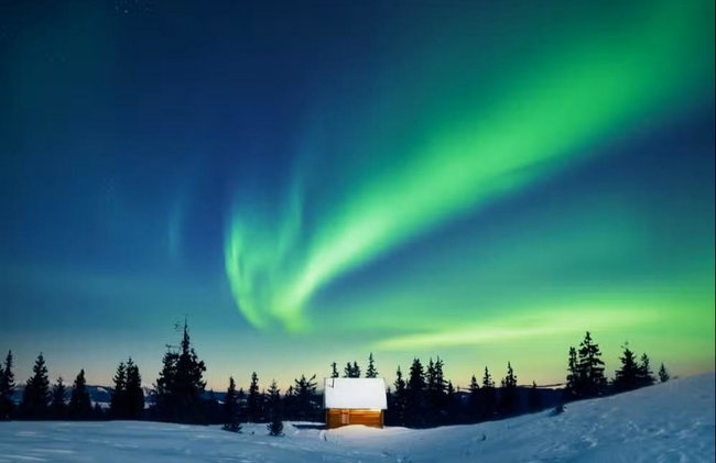 Northern Lights Reindeer Sleigh Ride - Photo 1