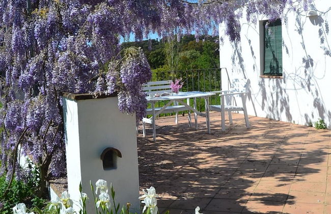 Las Navezuelas - Foto 55