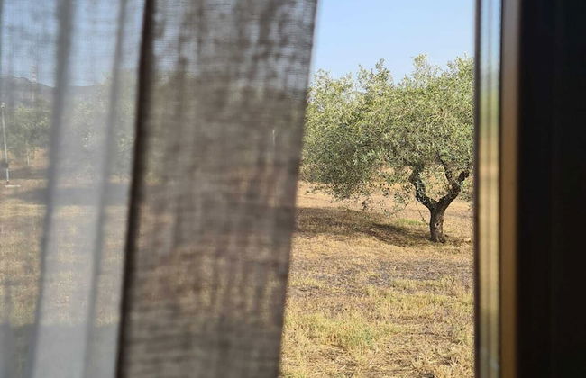 Agriturismo Corte Degli Ulivi - Foto 8