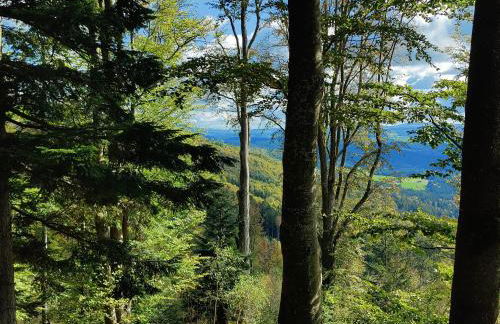 Altes Forsthaus Bodenmais - Foto 20