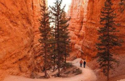 Bryce Zion Vacation - Foto 29