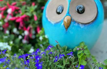 Le petit paradis - Foto 51