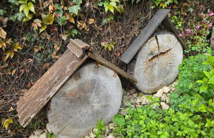 Ferienwohnung Palmengarten Bad Honnef - Foto 45