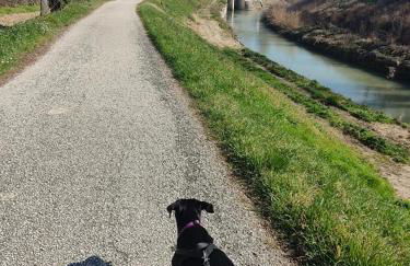 Agriturismo Etico Le Grazie - Foto 45