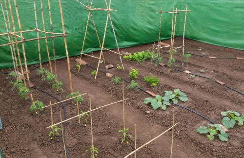 CR La Bohemia - Foto 27