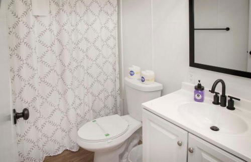 Purple Parrot - Foto 14