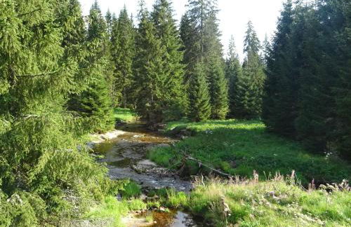 Apartment Almberg - Foto 58