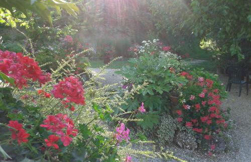 Bosco Romagno - Foto 33