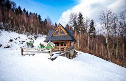 Domek w Górach Chatka Rogasiowa - Foto 14