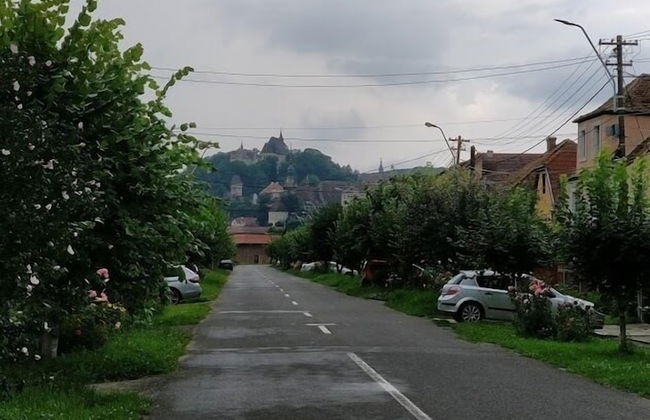 Teo's Flat - Foto 12