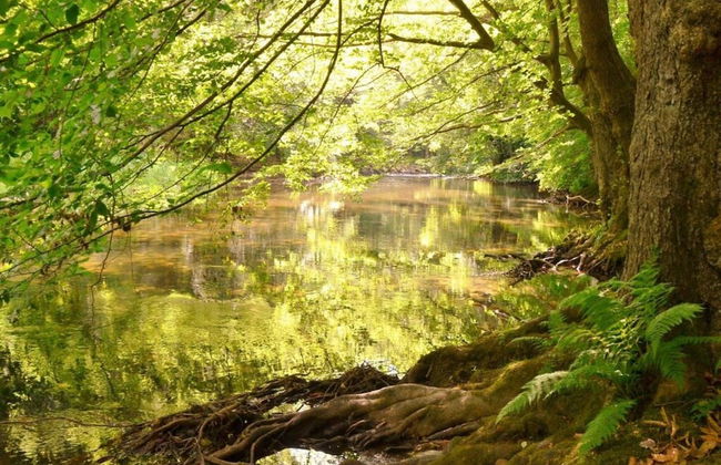 Holiday Home Lake View - Foto 17