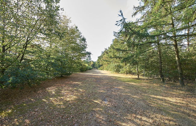 Ferienpark Grafschaft Bentheim - Foto 58