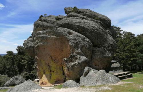 Anatiduero - Foto 23