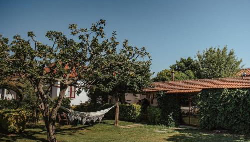 Casa de Marlães - Foto 2