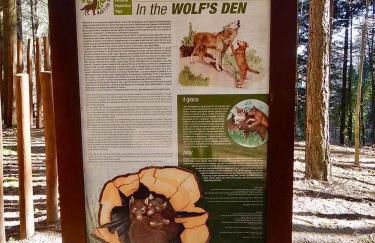 La Marzagrappola - Foto 35