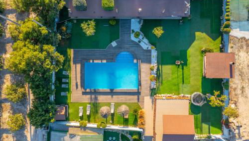 Finca Los Caleros - Algorfa - Foto 3