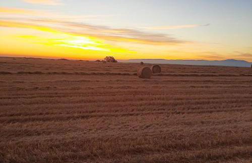 El rincón del molino - Foto 11