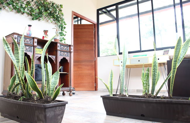 Bhakti Coffee Farm - Foto 9