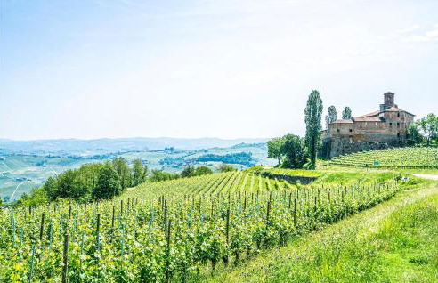 Pet Friendly Home In Vignale Monferrato - Foto 28