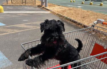 Casa RODA - Photo 21