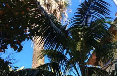 Villino with Garden - Photo 47