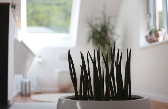 Ferienwohnungen Ries - Foto 20