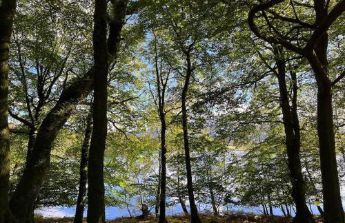 Belmont Chapel Cottage - Photo 37