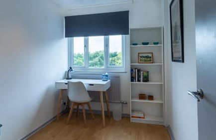 London Bridge 3 Bedroom House with reception room, office and private garden - Foto 20