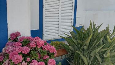 Alojamento local Família Coelho - Foto 4