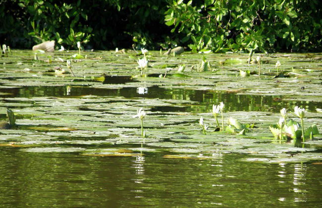 Tres Palos Lagoon Day Trip - Photo 5