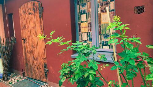 Willma Ferienhaus - Foto 3, Garden