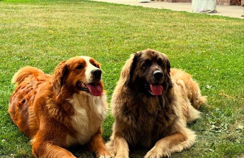 Aparthotel Rotheul - Photo 3